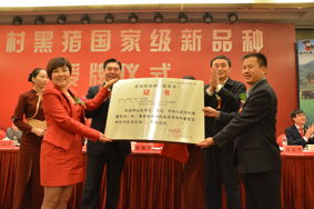 福来品牌营销策划公司 全案赋能，助力农产品品牌腾飞